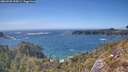 ./images/calvert/foggy-cove/20260503/foggy-cove20260503_155001M.jpg