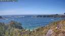 ./images/calvert/foggy-cove/20260503/foggy-cove20260503_155502M.jpg