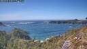 ./images/calvert/foggy-cove/20260503/foggy-cove20260503_160002M.jpg