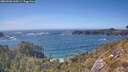 ./images/calvert/foggy-cove/20260503/foggy-cove20260503_160501M.jpg