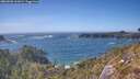 ./images/calvert/foggy-cove/20260503/foggy-cove20260503_161001M.jpg