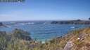 ./images/calvert/foggy-cove/20260503/foggy-cove20260503_161501M.jpg