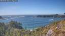 ./images/calvert/foggy-cove/20260503/foggy-cove20260503_162501M.jpg