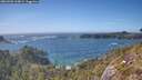 ./images/calvert/foggy-cove/20260503/foggy-cove20260503_163001M.jpg