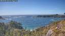 ./images/calvert/foggy-cove/20260503/foggy-cove20260503_163501M.jpg