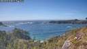 ./images/calvert/foggy-cove/20260503/foggy-cove20260503_164002M.jpg