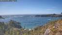 ./images/calvert/foggy-cove/20260503/foggy-cove20260503_164501M.jpg