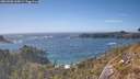 ./images/calvert/foggy-cove/20260503/foggy-cove20260503_165001M.jpg