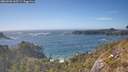 ./images/calvert/foggy-cove/20260503/foggy-cove20260503_165501M.jpg