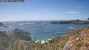 ./images/calvert/foggy-cove/20260503/foggy-cove20260503_170001M.jpg