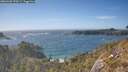 ./images/calvert/foggy-cove/20260503/foggy-cove20260503_170501M.jpg