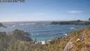 ./images/calvert/foggy-cove/20260503/foggy-cove20260503_171001M.jpg