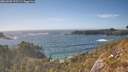 ./images/calvert/foggy-cove/20260503/foggy-cove20260503_171501M.jpg