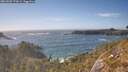 ./images/calvert/foggy-cove/20260503/foggy-cove20260503_172001M.jpg