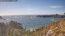 ./images/calvert/foggy-cove/20260503/foggy-cove20260503_172501M.jpg