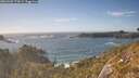 ./images/calvert/foggy-cove/20260503/foggy-cove20260503_173002M.jpg