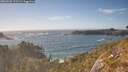 ./images/calvert/foggy-cove/20260503/foggy-cove20260503_173501M.jpg