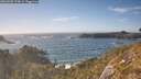 ./images/calvert/foggy-cove/20260503/foggy-cove20260503_174002M.jpg