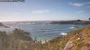 ./images/calvert/foggy-cove/20260503/foggy-cove20260503_174501M.jpg
