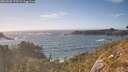 ./images/calvert/foggy-cove/20260503/foggy-cove20260503_175501M.jpg