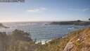 ./images/calvert/foggy-cove/20260503/foggy-cove20260503_180002M.jpg