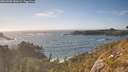 ./images/calvert/foggy-cove/20260503/foggy-cove20260503_180501M.jpg