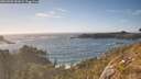 ./images/calvert/foggy-cove/20260503/foggy-cove20260503_181001M.jpg