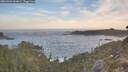 ./images/calvert/foggy-cove/20260504/foggy-cove20260504_063001M.jpg