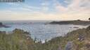 ./images/calvert/foggy-cove/20260504/foggy-cove20260504_063501M.jpg