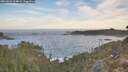 ./images/calvert/foggy-cove/20260504/foggy-cove20260504_064001M.jpg