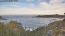 ./images/calvert/foggy-cove/20260504/foggy-cove20260504_064501M.jpg