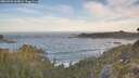 ./images/calvert/foggy-cove/20260504/foggy-cove20260504_065001M.jpg