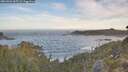 ./images/calvert/foggy-cove/20260504/foggy-cove20260504_065502M.jpg
