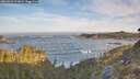 ./images/calvert/foggy-cove/20260504/foggy-cove20260504_071001M.jpg