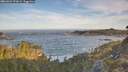 ./images/calvert/foggy-cove/20260504/foggy-cove20260504_072001M.jpg