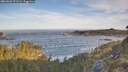 ./images/calvert/foggy-cove/20260504/foggy-cove20260504_072501M.jpg