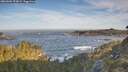 ./images/calvert/foggy-cove/20260504/foggy-cove20260504_073001M.jpg