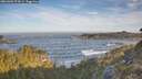 ./images/calvert/foggy-cove/20260504/foggy-cove20260504_074502M.jpg