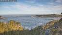 ./images/calvert/foggy-cove/20260504/foggy-cove20260504_075001M.jpg