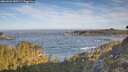 ./images/calvert/foggy-cove/20260504/foggy-cove20260504_080501M.jpg