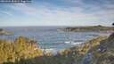 ./images/calvert/foggy-cove/20260504/foggy-cove20260504_081002M.jpg