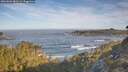 ./images/calvert/foggy-cove/20260504/foggy-cove20260504_081501M.jpg