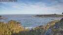 ./images/calvert/foggy-cove/20260504/foggy-cove20260504_082001M.jpg