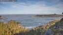 ./images/calvert/foggy-cove/20260504/foggy-cove20260504_082501M.jpg