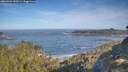 ./images/calvert/foggy-cove/20260504/foggy-cove20260504_090501M.jpg