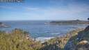 ./images/calvert/foggy-cove/20260504/foggy-cove20260504_091001M.jpg