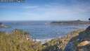 ./images/calvert/foggy-cove/20260504/foggy-cove20260504_092001M.jpg