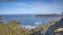 ./images/calvert/foggy-cove/20260504/foggy-cove20260504_092502M.jpg