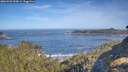 ./images/calvert/foggy-cove/20260504/foggy-cove20260504_093001M.jpg