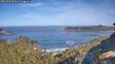 ./images/calvert/foggy-cove/20260504/foggy-cove20260504_093501M.jpg